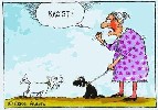 racist - 480x336 - 35 Ko
