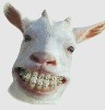 smile - 383x400 - 11 Ko