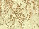 wpcdln2 - 1152x864 - 652 Ko