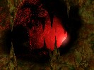 Grotte - 1024x768 - 98 Ko