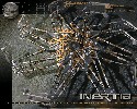 Inertia - 1280x1024 - 700 Ko