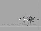 Techspider - 1152x864 - 78 Ko