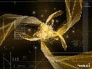 Golden_noise - 1152x864 - 295 Ko
