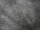 Phog - 1152x864 - 470 Ko