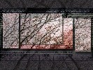 autumn - 1152x864 - 576 Ko