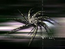 bio - 1152x864 - 264 Ko