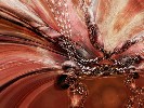 biodroptwist - 1152x864 - 368 Ko