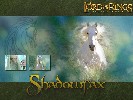 Shadowfax - 1152x864 - 360 Ko
